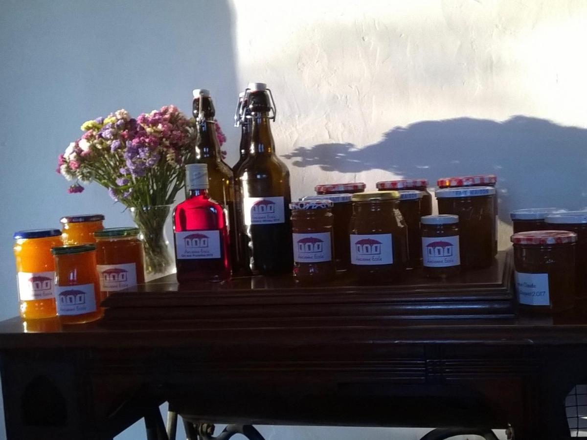 Cazaux-Villecomtal Ancienne Ecole Bed & Breakfast エクステリア 写真